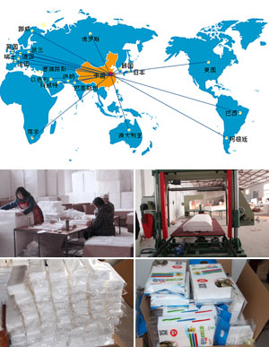 恩沃德納米海綿