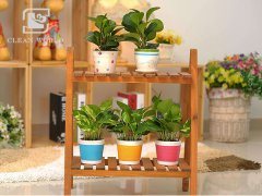 花架如何清潔？花架清潔小妙招